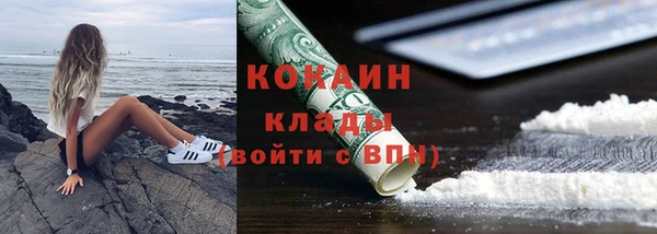 стаф Алзамай