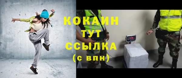 стаф Алзамай