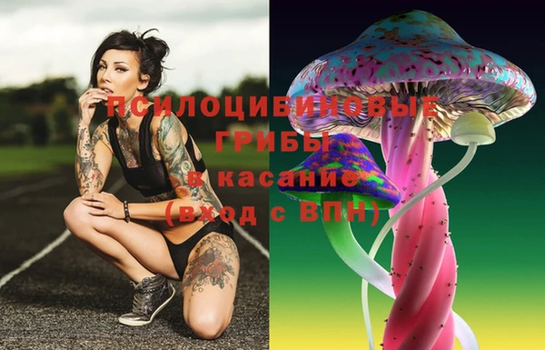 стаф Алексеевка