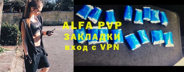 стаф Алзамай